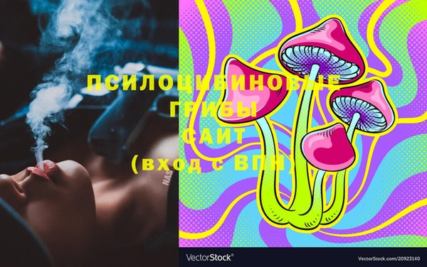 не бодяженный Белокуриха